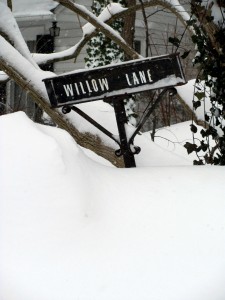 willow lane